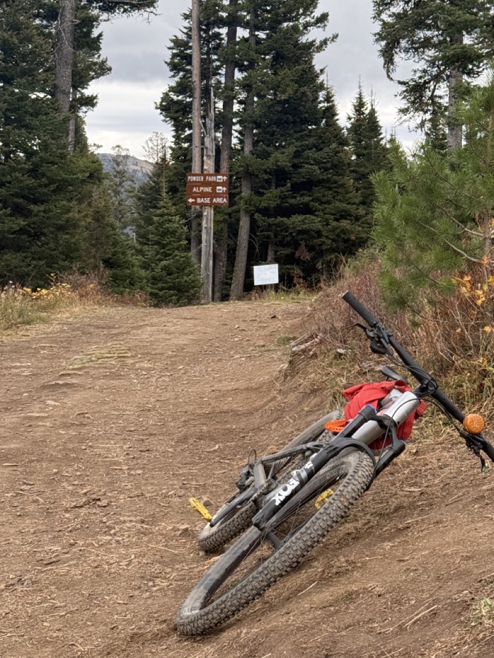 Bridger Bowl biking